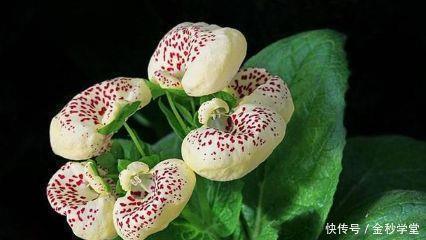 表达对工作很失望的句子