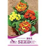 纪念512护士节唯美句子摘录20句