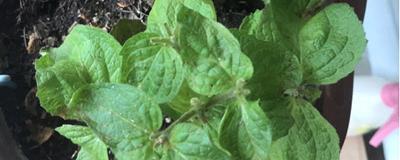 十一月再见十二月你好励志句子文案(精选86句)