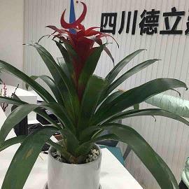 看海的开心心情的句子 看海心情好的句子