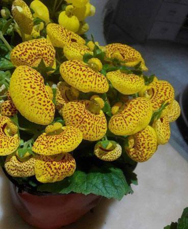 关于阳光心情的短句子 做人要有阳光心态的句子