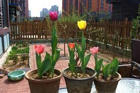 适合发朋友圈的暖心励志正能量的句子24句