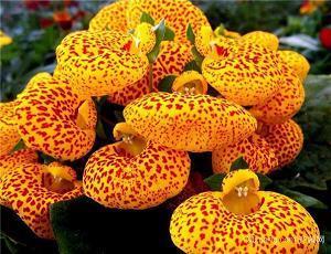 是我想的太多的句子