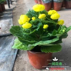 触动人心的话 我听到了一首旧歌，我的眼泪就下来了