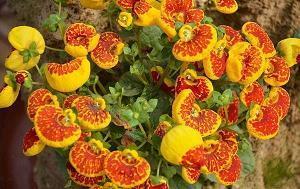 战胜2022年陕西疫情正能量句子(精选40句)