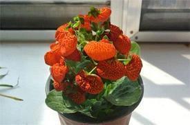 中老年的友情句子11句