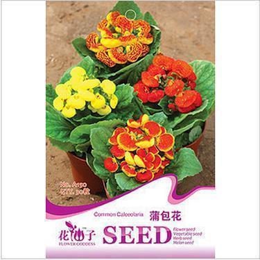 网络情缘的经典句子汇编68句