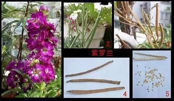有关友情的悲凉句子13句