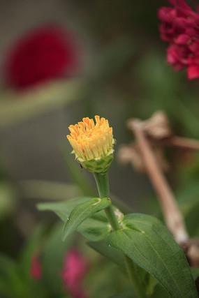 古言唯美虐心句子40句