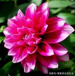 讽刺卑鄙小人的句子58句