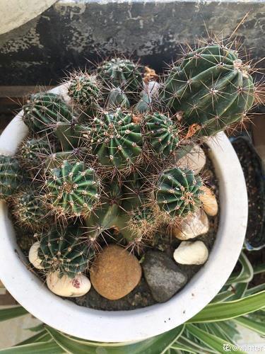 描述心痛到无法呼吸的句子 压抑到无法呼吸的句子