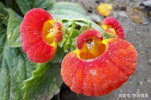心碎的短句子说说