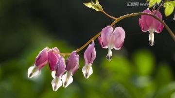 适合半夜发朋友圈的说说 晚安心语文艺的句子集锦24句