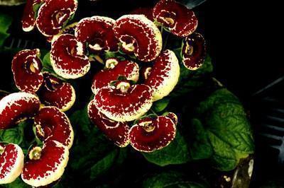 感动的句子大全亲情2021年(精选24句)