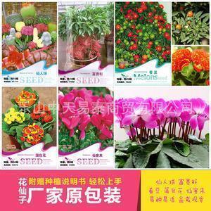 售后团队口号