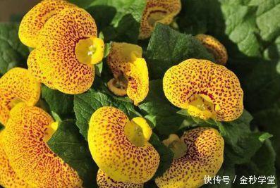 2021520抖音表白土味情话句子推荐79句