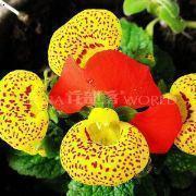 感慨父母变老的句子朋友圈(精选43句)