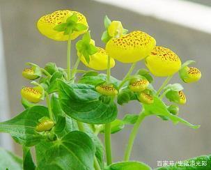 2021反对食品浪费经典口号推荐52句