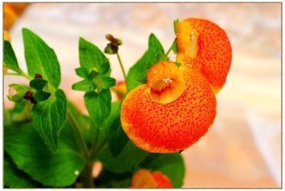 心痛到哭的句子 谁都有美好的往事，那也是不堪的回忆