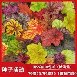 清明节的说说心情短语