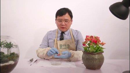 结束工作优美句子97句