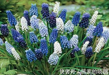 推销脯辣椒的推销词