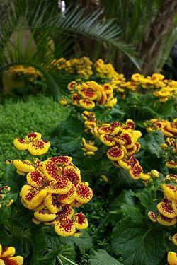 描写希望的句子 关于希望的唯美句子