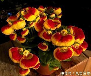 烈士纪念日致敬人民英雄名言句子(精选16句)