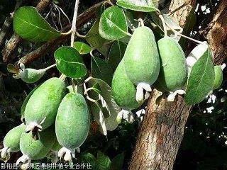 相聚开心的句子