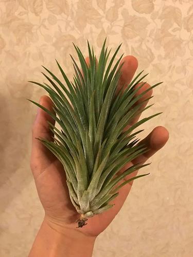 生活感悟的心灵鸡汤句子 朋友圈正能量简短句子