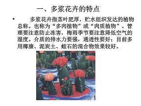 2021适合小暑发朋友圈的唯美说说汇编70句