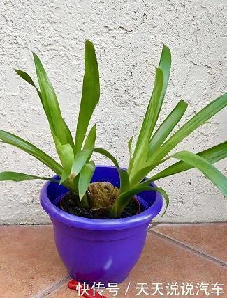 心态阳光正能量句子