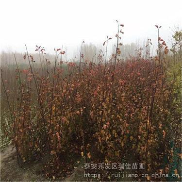 改变自己的经典语录 突破自己的励志语(精选44句)