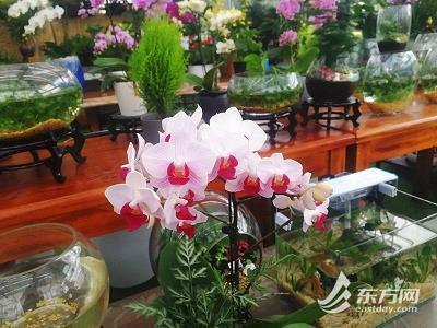 游玩唯美句子76句