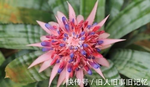 形容两个人爱情的句子汇编75句