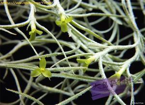 男人对爱情失望的句子