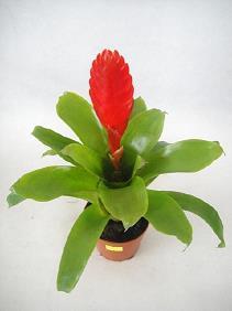 抖音沙雕又可爱的文案锦集29句