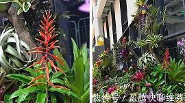 每日箴言每日金句(精选28句)