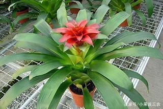 早安心语简单励志的句子