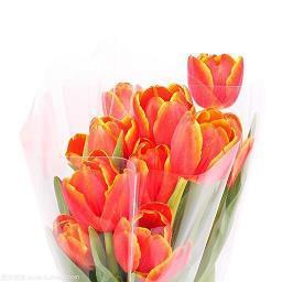 自己生日对老公失望的句子