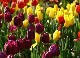 描写冬天美景的句子 适合冬天发朋友圈的唯美短句集锦25句