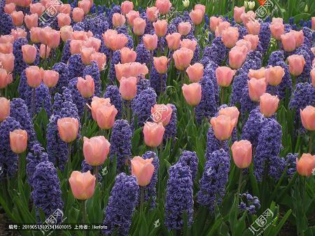 表达很在乎对方的句子