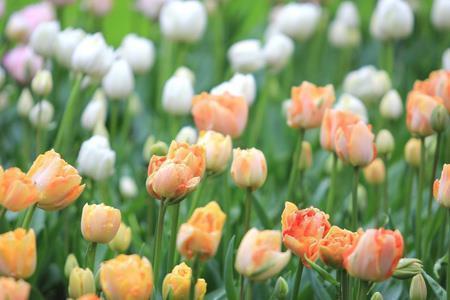 九月你好走心文案句子(精选69句)