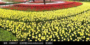 睡不着的伤心句子 心无旁骛似明镜，无风何处起涟漪