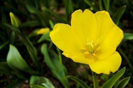 充满正能量的晚安心语 最打动人心的晚安说说合集75句