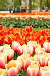 离职伤感的句子40句