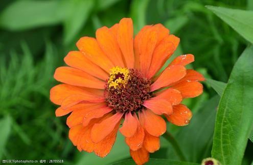 父亲的生日祝福语感人 女儿对老爸生日祝福语