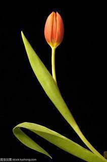 形容对老公失望心寒的句子