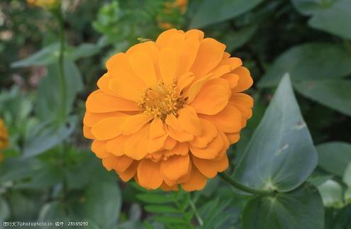 表达同学友情的句子