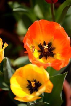 瞬间让人感动的短语(精选34句)